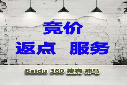 某电商平台的SEM推广策略全解析
